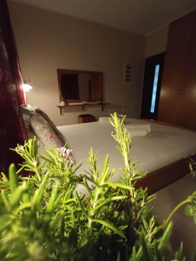 Villa Erasmia Dekarcho Kültér fotó