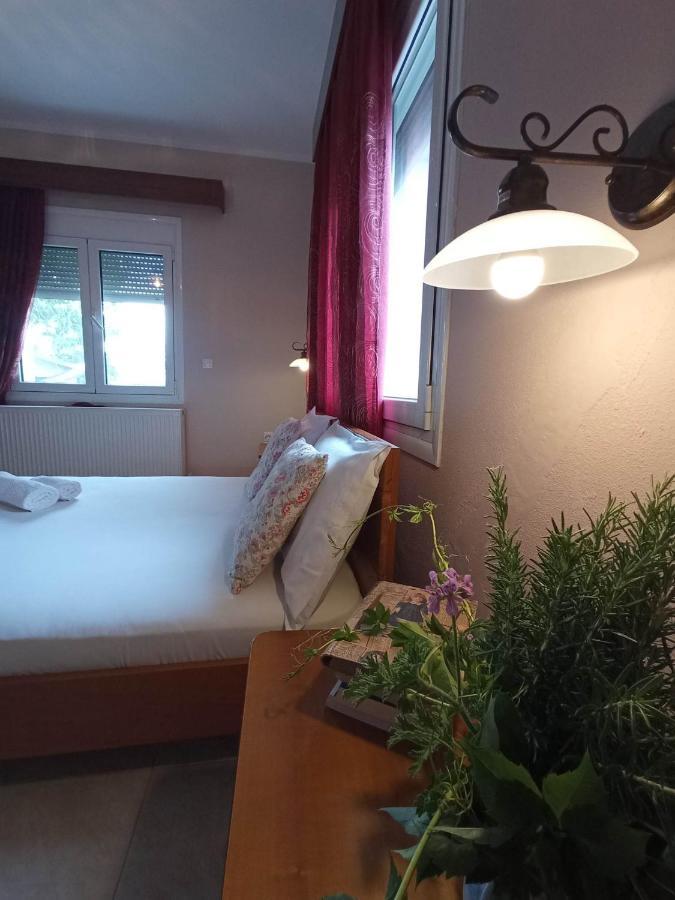 Villa Erasmia Dekarcho Kültér fotó